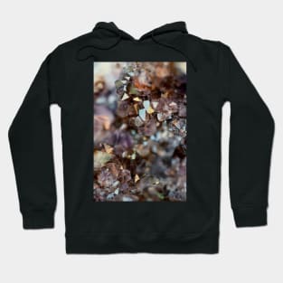 Points Of Light Hoodie